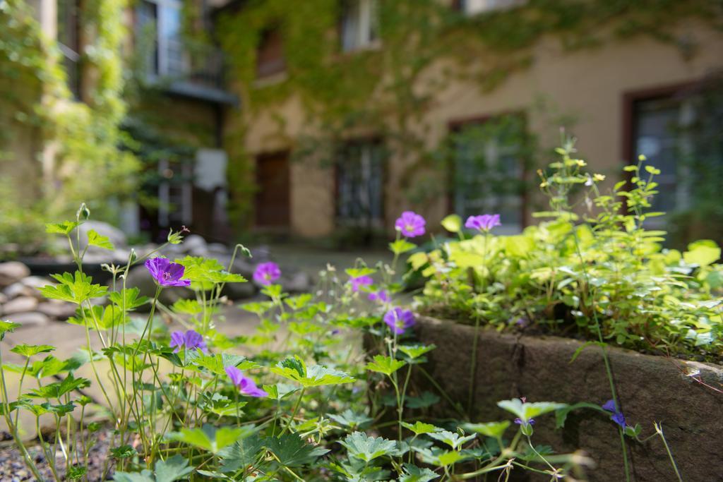 Zum Roten Baren Freiburg im Breisgau Exterior photo